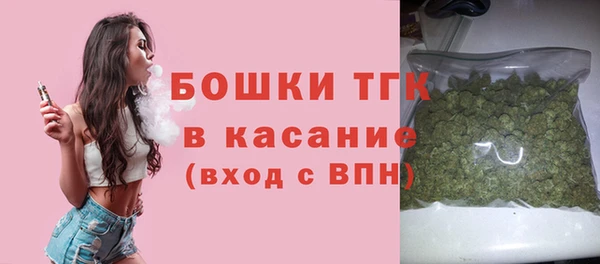 тгк Семёнов