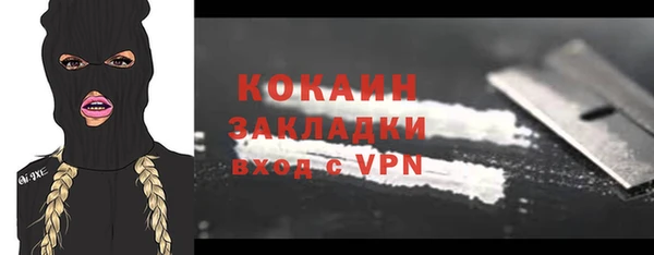 кокс Алексин