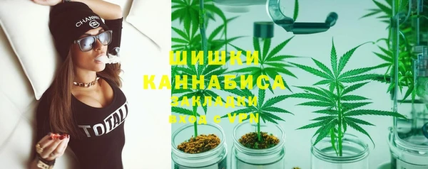 ГАЛЛЮЦИНОГЕННЫЕ ГРИБЫ Алзамай