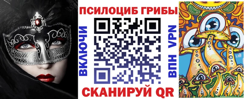 Псилоцибиновые грибы Cubensis Бокситогорск